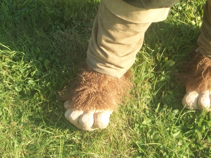 pieds de hobbits