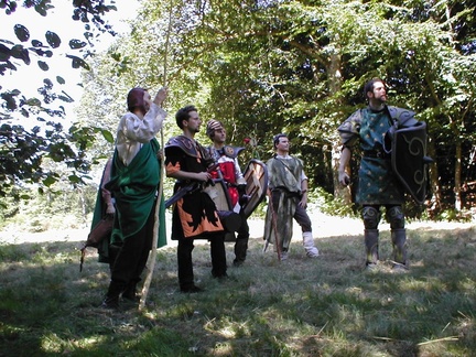 8-le chevalier de Sinople - 3