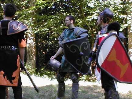 8-le chevalier de Sinople - 4