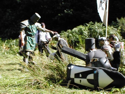 8-le chevalier de Sinople - 5