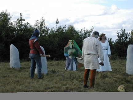 7-sorcier gargouilles fee chevalier - 11