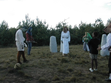 7-sorcier gargouilles fee chevalier - 12