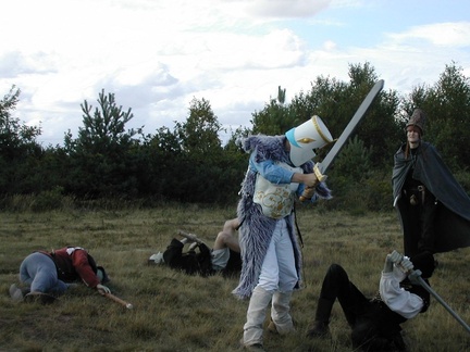 7-sorcier gargouilles fee chevalier - 14