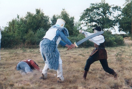 7-sorcier gargouilles fee chevalier - 6