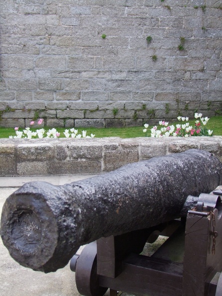 2009-05-09_510.JPG