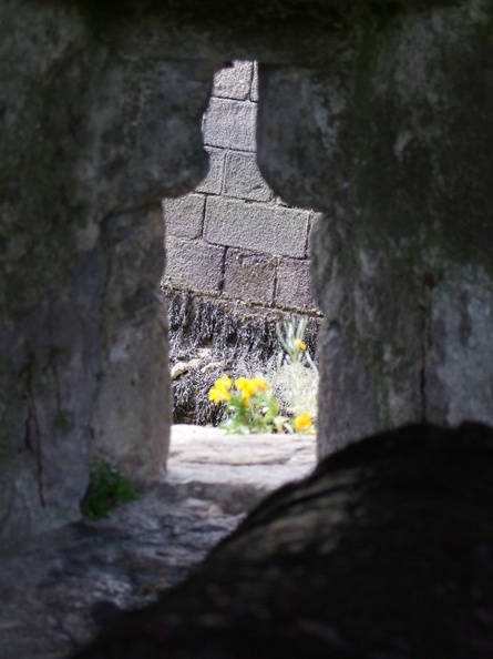 2009-05-09_512.JPG