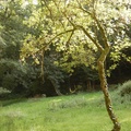 DSC 0002