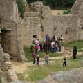DSC03551