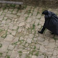 DSC03580