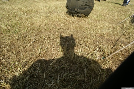 ChaoticTrollball-406