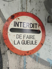 WhatsApp Image 2024-10-20 à 15.04.03 c4178618