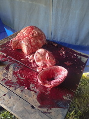 WhatsApp Image 2024-10-20 à 15.04.04 b3a480a4