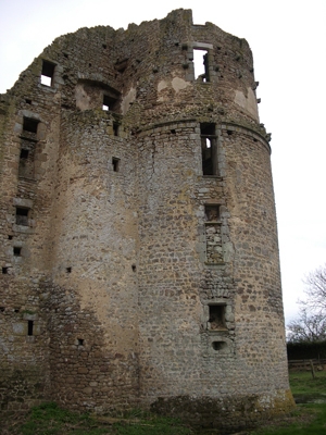 image-001.jpg